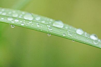 Rebellion新作《Atomfall》开启预购 国区售价168元